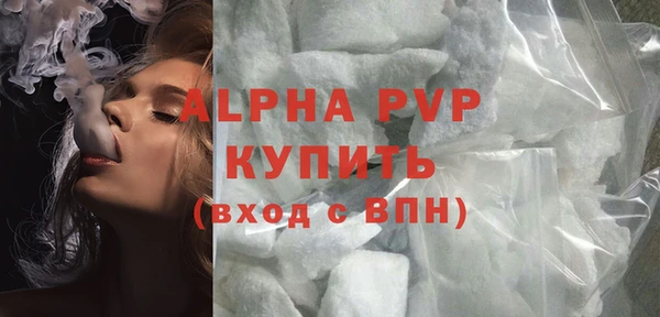 стаф Корсаков