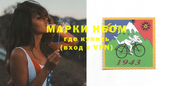 стаф Корсаков