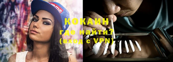 стаф Корсаков