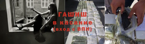 стаф Корсаков