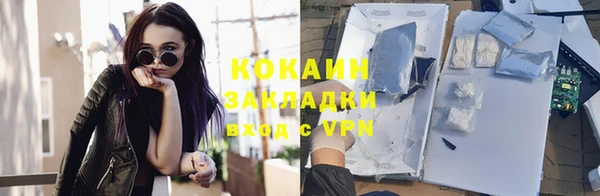 стаф Корсаков