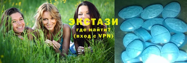 стаф Корсаков